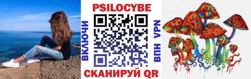 Галлюциногенные грибы Psilocybe  сайты даркнета наркотические препараты  Горячий Ключ 