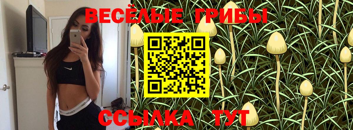Горячий Ключ  Псилоцибиновые грибы ЛСД  Вход с VPN 