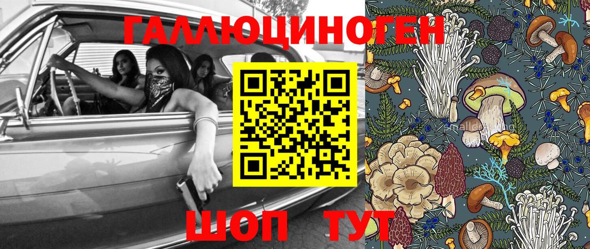 Галлюциногенные грибы Psilocybe  хочу   Горячий Ключ 