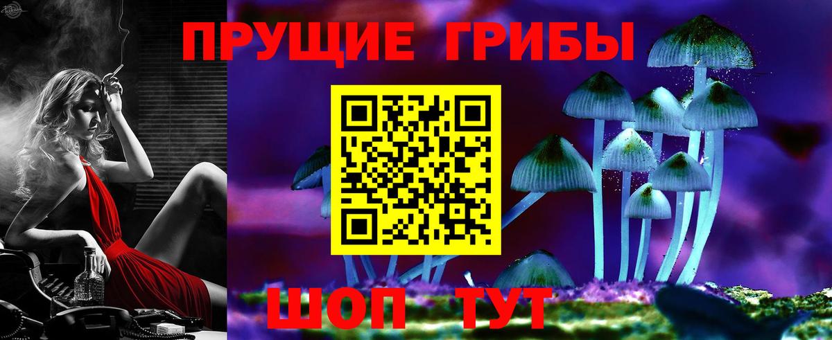 Галлюциногенные грибы мухоморы Горячий Ключ