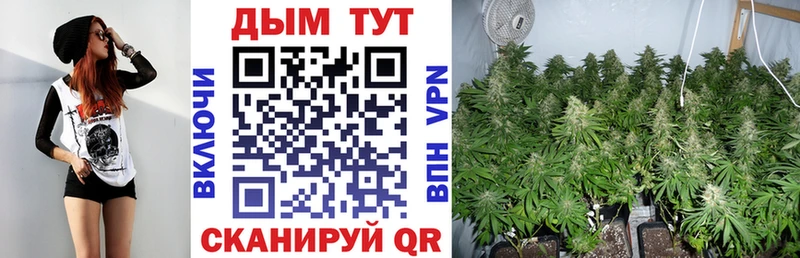 Конопля White Widow  купить наркотики цена  Горячий Ключ 